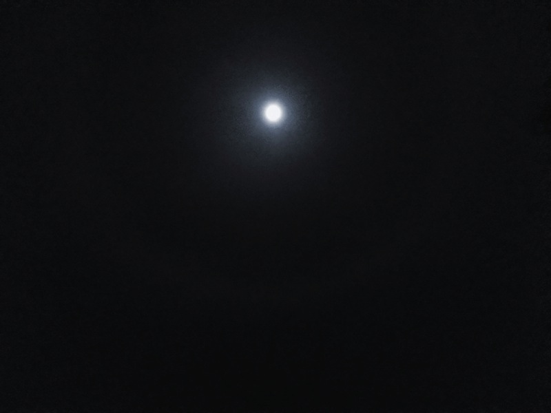 Moon