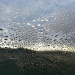 Water Droplets on Windshield