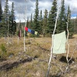 Laundry in the wilderness.